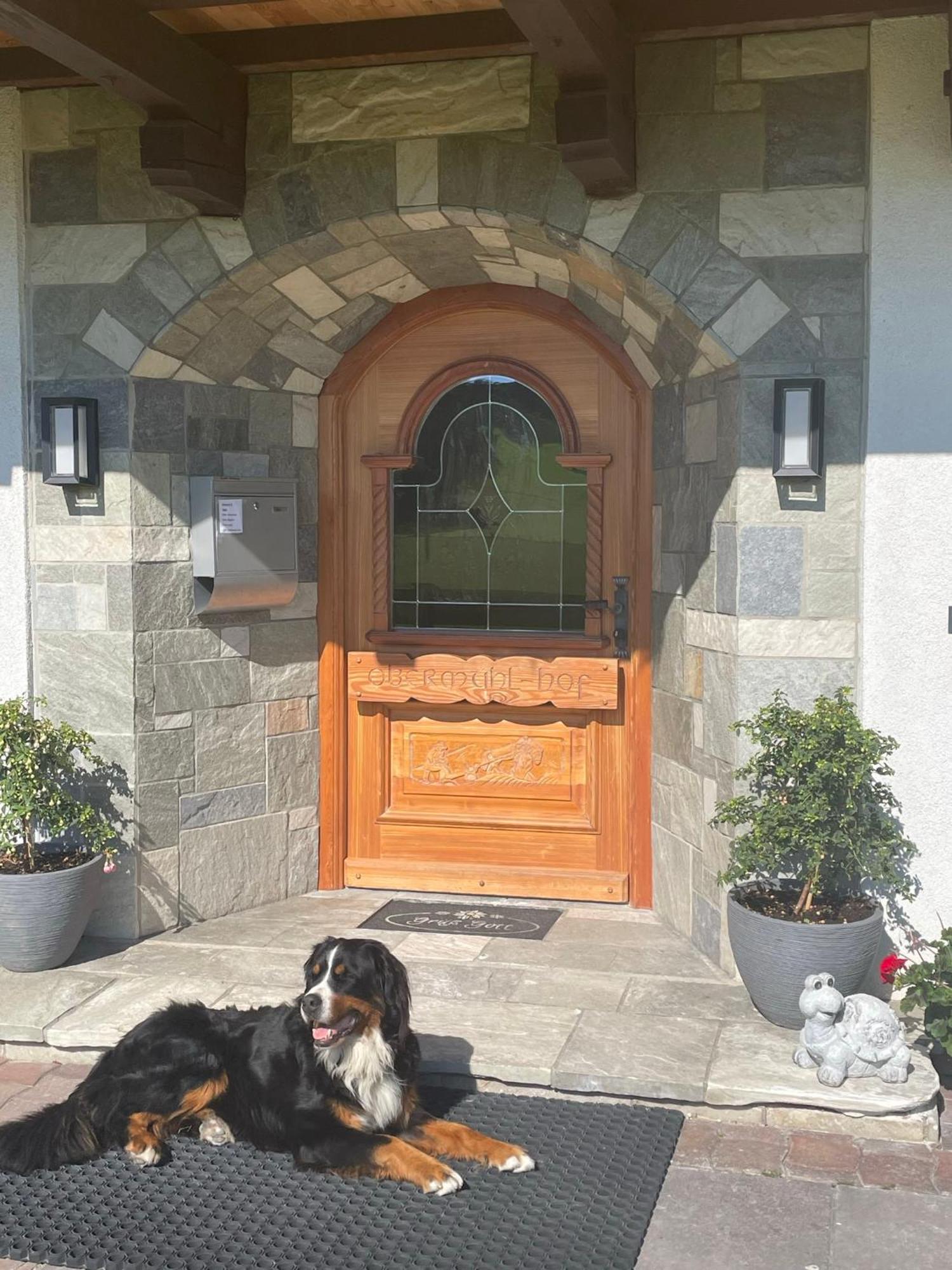 Obermuehlhof Apartment Saalfelden ภายนอก รูปภาพ